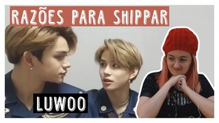 REAGINDO À LUWOO (NCT)