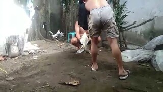 pumili nga tau ng pang 2cock ulutan ngaung Dec 29, 2023