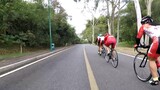[Live] Professional cycling team training