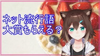 【ネット流行語100】ついに授賞式・・・【にじさんじ】【文野環/野良猫】