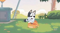 Bluey S01E1 Bike Indonesia (Part 2)
