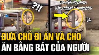 Dân tình PHẪN NỘ với cô gái có hành động vô tư cho CHÓ ĂN trực tiếp vào BÁT của quán ăn