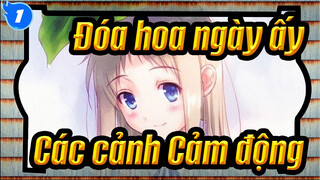 [Đóa hoa ngày ấy] Các cảnh Cảm động_1