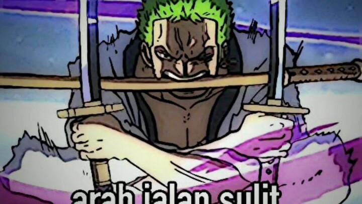 `•Marimo Buta Map Ygy | Roronoa Zoro•`