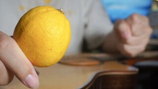 Mainkan Lemon dengan lemon asli? Bisakah kamu bermain gitar seperti ini?