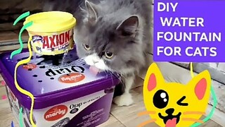 DIY WATER DRINKER FOUNTAIN FOR CATS I STEP BY STEP