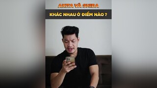 Khác nhau giữa Akita và Shiba LearnOnTikTok thucung tuitienpet petonesaigon