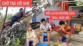 Khương Dừa dụ bạn thân leo cây hái Vú Sữa ngồi dưới cùng Phong Tôm ăn sạch