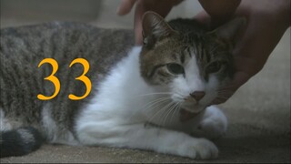 Here Comes Asa! ep 33 (097 098 099)