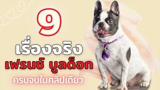 9 เรื่องจริงของเฟรนช์ บูลด็อก น้องหมาสุดน่ารักขวัญใจของใครหลายคน สรุปจบในคลิปเดียว #ECOBOK