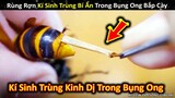 Rùng Rợn Tìm Thấy Ký Sinh Trùng Kinh Dị Trong Bụng Ong Bắp Cày || Review Giải Trí Đời Sống