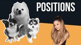 positions but Dogs Sung It (Doggos and Gabe)