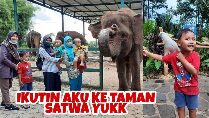 KEBUN BINATANG LEMBAH HIJAU | LIBURAN BARENG PONAKAN 2022
