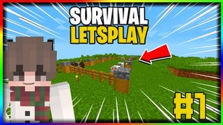 Minecraft Survival LetsPlay | Java Edition