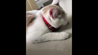 น้องเพิ่งเคยลองของ🤣