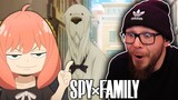 They Massacred MY BOY! | SPY x FAMILY S2 Episode 12 REACTION