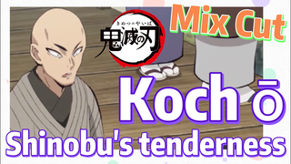 [Demon Slayer]  Mix Cut | Kochō Shinobu's tenderness