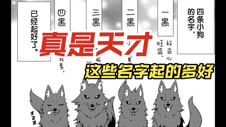 【异世界悠闲农家#5】我真是个起名字的“天才”