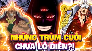 KONG, SAKAZUKI, IMU?! | NHỮNG ÔNG TRÙM ĐANG CHỜ LUFFY ĐỂ ĐỐI ĐẦU