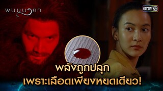 พลังถูกปลุก เพราะเลือดเพียงหยดเดียว! | Highlight พนมนาคา (รีรัน) Ep.03 | one31 | 11 มิ.ย. 67