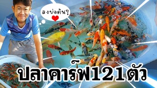 ปลาคาร์ฟ121ตัว ลงบ่อดิน? l คุณพ่อคราฟ