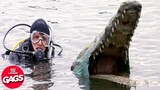 Unhinged Crocodile Attack Pranks | Just For Laughs Gags