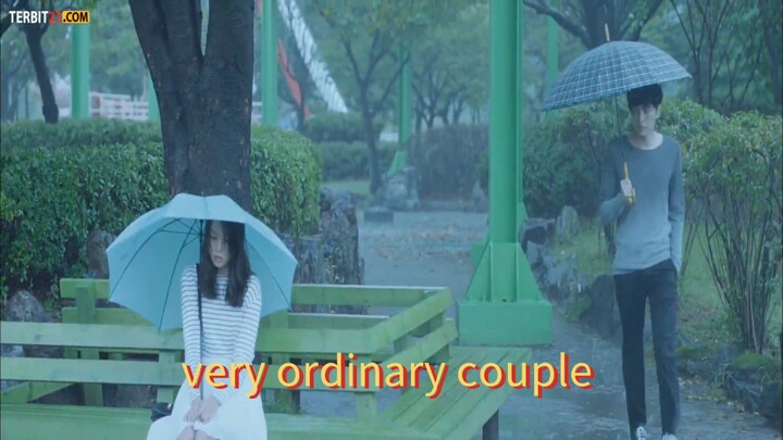 very ordinary couple 2013