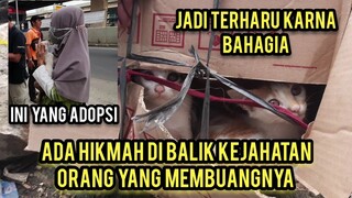 Kucing Yang Di Buang Orang Jahat Sekarang Di Adopsi Oleh Orang Baik Hidup Mereka Sudah Bahagia..!