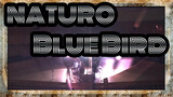 NATURO|[Multi-instrument ensemble]Gekijo Ban Naruto-OP-Blue Bird