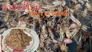 เมนูราคาแพง!!ตำป่นจี้โป่ม กินก้บผักเยอะๆข้าวเหนียวร้อนๆงานนี้มีเพิ่มข้าว❤️