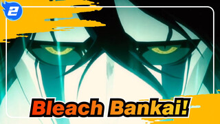 [Bleach/Epik] Bankai!Kita bisa mengalahkan siapa pun di depan kita_2