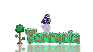 Becoming a complete magician of Terraria in 200 seconds.