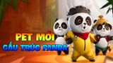 UPDATE 2.4 | Pet Mới Gấu Trúc Panda Pubg Mobile | Lý Tiểu Long x Pubg Mobile | Xuyen Do