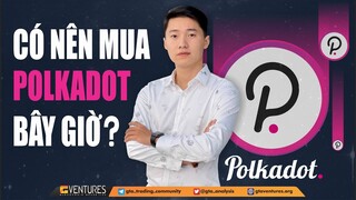 Ôm Polkadot được không? Vùng mua nào là hợp lý? | GTA VENTURES