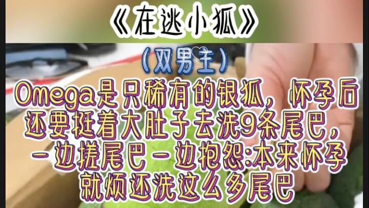 《在逃小狐》Omega是只稀有的银狐，怀孕后还要挺着大肚子去洗9条尾巴，一边搓尾巴一边抱怨:本来怀孕就烦还洗这么多尾巴