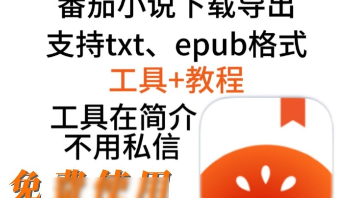 How to download Tomato novel as txt, Tomato novel download tool