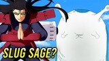 What Kind of Sage is Hashirama?