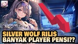 SILVER WOLF RILIS BANYAK PLAYER PENSI??! | Honkai: Star Rail