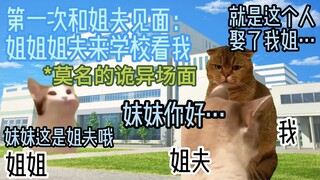 【猫meme】妹妹猫和表姐猫的故事：就是这个人娶了我姐…