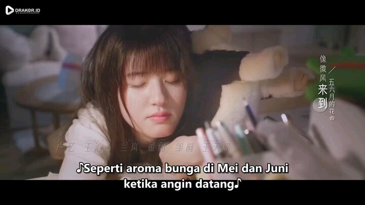 hidden love  episode 25 END sub indo (dracin)