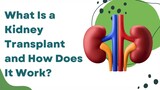 What Is a Kidney Transplant and How Does It Work