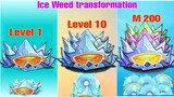 Phân tích sự thay đổi của Ice Weed từ level 1 đến Mastery 200 | MK Kids