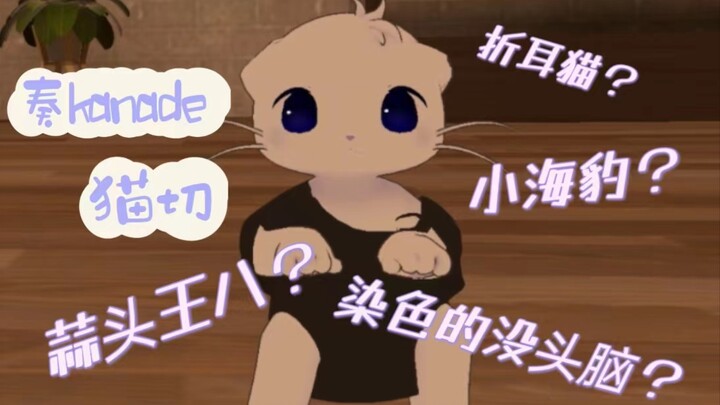 【奏kanade/猫切】奏小海豹-蒜头王八-折耳喵