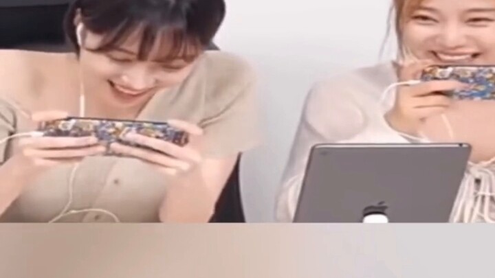 Trò vui của chú ếch, thật khó để nhịn cười giữa đêm
