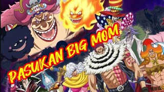 Squad Big Mom Vs Solo!! Auto Capek