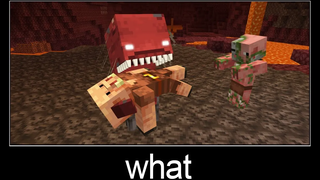 Minecraft รออะไร meme part 206 (Scary Strider)