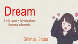 Shumizu Shota (Dream)