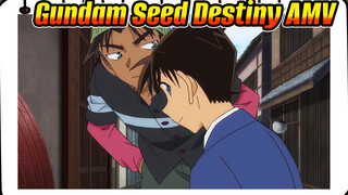 Mobile Suit Gundam Seed Destiny AMV | Solitude of the Deep Ocean