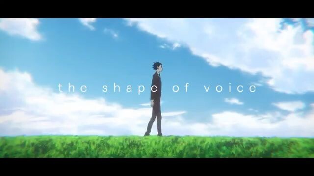 the shape of voice