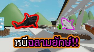 Roblox:เอาชีวิตรอดจากฉลามยักษ์!!